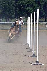 horseback pole bending lessons